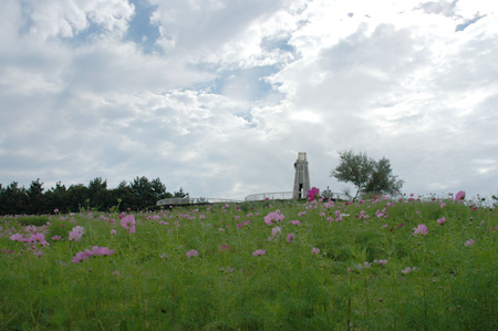 HiRXXj Octber 15, 2006