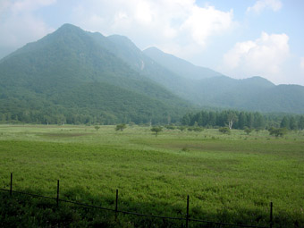 7月の日光戦場ヶ原・小田代ケ原